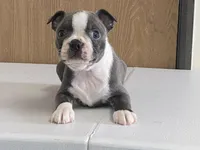 processed/2aeff7ce-7b32-4114-9604-c81d8e3c3561/listing/08f89653-f2b3-49ab-8025-6827497359d9/ea723b8b-8648-42b3-9aaa-f89969d502a1