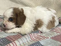 processed/2aeff7ce-7b32-4114-9604-c81d8e3c3561/listing/346acfb2-0cab-4bec-86d7-6338c93f8203/b7b53ce6-4eef-42d6-9a53-2db03faf065d