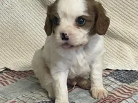 processed/2aeff7ce-7b32-4114-9604-c81d8e3c3561/listing/346acfb2-0cab-4bec-86d7-6338c93f8203/edb6943b-c346-404f-a079-2472a2880ae4