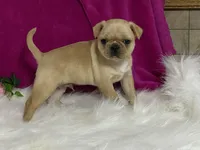 processed/2aeff7ce-7b32-4114-9604-c81d8e3c3561/listing/3a91e124-1db5-4dd5-869a-e571dc896315/022dbada-e3b2-4347-9753-6e2bfc2fbde8