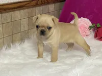 processed/2aeff7ce-7b32-4114-9604-c81d8e3c3561/listing/3a91e124-1db5-4dd5-869a-e571dc896315/02d8fff3-626f-44d7-9947-db7474c033e0