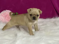 processed/2aeff7ce-7b32-4114-9604-c81d8e3c3561/listing/3a91e124-1db5-4dd5-869a-e571dc896315/151ad08e-09a0-4d4f-ad13-f9fd5225c39e