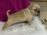 processed/2aeff7ce-7b32-4114-9604-c81d8e3c3561/listing/3a91e124-1db5-4dd5-869a-e571dc896315/1b80c45e-c893-41fd-967b-1fc61e0e9ab1