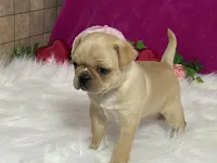 processed/2aeff7ce-7b32-4114-9604-c81d8e3c3561/listing/3a91e124-1db5-4dd5-869a-e571dc896315/cc334e00-a06a-491f-97fc-9814934876e7