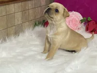 processed/2aeff7ce-7b32-4114-9604-c81d8e3c3561/listing/3a91e124-1db5-4dd5-869a-e571dc896315/fe3a27aa-0daa-4d2d-a4fd-45500c86b68f