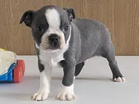 processed/2aeff7ce-7b32-4114-9604-c81d8e3c3561/listing/aca5f2f9-3eb9-47b3-8a68-651ad487f18d/0972f4fb-e12a-4585-8a8a-ee9359a4caf5