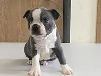 processed/2aeff7ce-7b32-4114-9604-c81d8e3c3561/listing/aca5f2f9-3eb9-47b3-8a68-651ad487f18d/258527d8-779a-4634-a2b3-e8063d8478b6