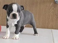 processed/2aeff7ce-7b32-4114-9604-c81d8e3c3561/listing/aca5f2f9-3eb9-47b3-8a68-651ad487f18d/4b794bd6-5b1e-4380-a019-bf8d655f5fad