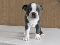 processed/2aeff7ce-7b32-4114-9604-c81d8e3c3561/listing/aca5f2f9-3eb9-47b3-8a68-651ad487f18d/8553a1be-d090-4c73-be56-dae3a2a3b54a