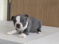 processed/2aeff7ce-7b32-4114-9604-c81d8e3c3561/listing/aca5f2f9-3eb9-47b3-8a68-651ad487f18d/eb39c2e9-eed0-4c88-bc00-5ae75c4118f5