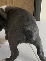 processed/2aeff7ce-7b32-4114-9604-c81d8e3c3561/listing/aca5f2f9-3eb9-47b3-8a68-651ad487f18d/f56a2b8c-f5a2-49c6-ac45-ba1e068ba80b