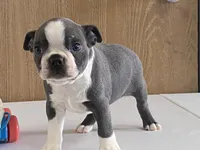 processed/2aeff7ce-7b32-4114-9604-c81d8e3c3561/listing/aca5f2f9-3eb9-47b3-8a68-651ad487f18d/f6e103a6-f738-477d-aa5d-a1fe7a7f431a