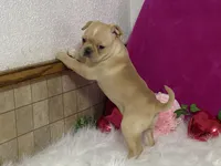 processed/2aeff7ce-7b32-4114-9604-c81d8e3c3561/listing/c7a621f6-5822-4637-83f2-27e5576c61b9/355158e1-51a3-415c-a940-e8c19ac859b3