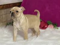 processed/2aeff7ce-7b32-4114-9604-c81d8e3c3561/listing/c7a621f6-5822-4637-83f2-27e5576c61b9/5a105a56-7272-46d8-8a59-a2e2166cda07