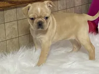 processed/2aeff7ce-7b32-4114-9604-c81d8e3c3561/listing/c7a621f6-5822-4637-83f2-27e5576c61b9/63d93adb-7f4c-4447-b39f-662770e1ab45