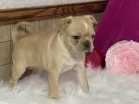 processed/2aeff7ce-7b32-4114-9604-c81d8e3c3561/listing/c7a621f6-5822-4637-83f2-27e5576c61b9/69bd7674-84ad-4072-a5a9-98be823096aa