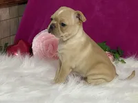 processed/2aeff7ce-7b32-4114-9604-c81d8e3c3561/listing/c7a621f6-5822-4637-83f2-27e5576c61b9/dbd34b10-70f4-4afe-b6db-2e7a90c44208