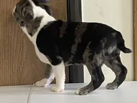 processed/2aeff7ce-7b32-4114-9604-c81d8e3c3561/listing/ccb3758c-ba7e-4947-aabf-9a8a5adfec7c/0b2db18f-aa13-46ec-93d1-e1f271988d33