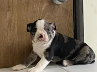 processed/2aeff7ce-7b32-4114-9604-c81d8e3c3561/listing/ccb3758c-ba7e-4947-aabf-9a8a5adfec7c/0d7ddf40-211a-4946-a159-339d52d19b3a