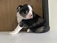 processed/2aeff7ce-7b32-4114-9604-c81d8e3c3561/listing/ccb3758c-ba7e-4947-aabf-9a8a5adfec7c/2bb8d861-da47-4e97-b1d8-22e5c03a47b0