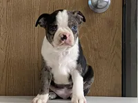 processed/2aeff7ce-7b32-4114-9604-c81d8e3c3561/listing/ccb3758c-ba7e-4947-aabf-9a8a5adfec7c/8a399f25-590c-4113-b6cd-5903cf020db7