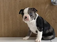 processed/2aeff7ce-7b32-4114-9604-c81d8e3c3561/listing/ccb3758c-ba7e-4947-aabf-9a8a5adfec7c/b2b830af-922e-4b90-bb0f-a26a6d193494