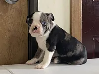 processed/2aeff7ce-7b32-4114-9604-c81d8e3c3561/listing/ccb3758c-ba7e-4947-aabf-9a8a5adfec7c/bc1c7ebf-a49f-4e0a-bfd1-7c685b3eb016