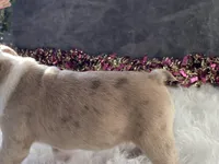 processed/2aeff7ce-7b32-4114-9604-c81d8e3c3561/listing/e4d826b4-d6c0-4483-9c26-b4d69b0df6f3/26a21ec5-5ff6-466e-a145-b6dee90ba2c5