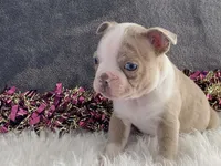 processed/2aeff7ce-7b32-4114-9604-c81d8e3c3561/listing/e4d826b4-d6c0-4483-9c26-b4d69b0df6f3/3b68c645-2d4b-465b-b53f-1b678dafa645