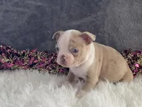 processed/2aeff7ce-7b32-4114-9604-c81d8e3c3561/listing/e4d826b4-d6c0-4483-9c26-b4d69b0df6f3/59079564-39dd-406c-8bd3-1f186be9b115