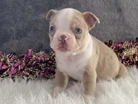 processed/2aeff7ce-7b32-4114-9604-c81d8e3c3561/listing/e4d826b4-d6c0-4483-9c26-b4d69b0df6f3/cc81a1fe-80e1-46ce-a134-3a72d1ac636a