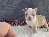 processed/2aeff7ce-7b32-4114-9604-c81d8e3c3561/listing/e4d826b4-d6c0-4483-9c26-b4d69b0df6f3/fe546589-c66d-4601-af40-53409fd469f9