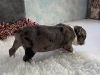 processed/2aeff7ce-7b32-4114-9604-c81d8e3c3561/listing/ed4d403e-2a03-440c-bb5c-97e0395804ab/34e1707f-51f2-4266-9d89-ac17ce1e2595