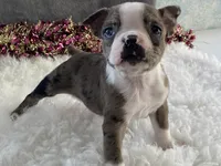 processed/2aeff7ce-7b32-4114-9604-c81d8e3c3561/listing/ed4d403e-2a03-440c-bb5c-97e0395804ab/5b3960d7-25fb-426e-b989-bf6f377c555c