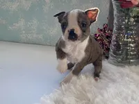 processed/2aeff7ce-7b32-4114-9604-c81d8e3c3561/listing/ed4d403e-2a03-440c-bb5c-97e0395804ab/5fd0b0cb-b856-4549-8451-e7ff38cfc6f0