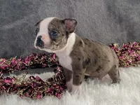 processed/2aeff7ce-7b32-4114-9604-c81d8e3c3561/listing/ed4d403e-2a03-440c-bb5c-97e0395804ab/9649f952-8426-4e27-b90c-315d9050fcae