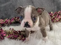 processed/2aeff7ce-7b32-4114-9604-c81d8e3c3561/listing/ed4d403e-2a03-440c-bb5c-97e0395804ab/b5d03263-2c9b-424f-a504-80d9488bb1b1