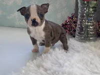 processed/2aeff7ce-7b32-4114-9604-c81d8e3c3561/listing/ed4d403e-2a03-440c-bb5c-97e0395804ab/fa47ccc5-1541-4452-ab63-933c3b0bfeda