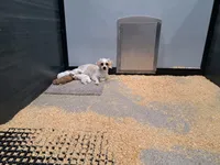 processed/2af075f8-907a-4293-ac31-e50a6f7265b2/facility/516d2cb2-d719-4d28-882b-35bbf58234e8