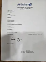 Teddy, a male Yorkshire Terrier for sale in Arthur, IL – Photo 7 of 7