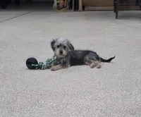 processed/2af075f8-907a-4293-ac31-e50a6f7265b2/listing/476b7015-748d-4786-b2c0-95db1c1f1b0d/dcf5b0e8-32f1-445f-a72d-ac959dd5ff37