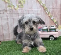 processed/2af075f8-907a-4293-ac31-e50a6f7265b2/listing/476b7015-748d-4786-b2c0-95db1c1f1b0d/e1fad73d-254f-4de4-a57b-0e503818ca14