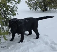 processed/2af075f8-907a-4293-ac31-e50a6f7265b2/listing/d016ad24-a0c5-4874-b3ed-8f7680be31eb/0bde78c7-36da-4a7c-a377-010b88ee4742