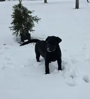 processed/2af075f8-907a-4293-ac31-e50a6f7265b2/listing/d016ad24-a0c5-4874-b3ed-8f7680be31eb/17ac9b99-04f4-4cf5-a0cb-06cea220aa1b