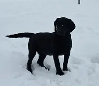 processed/2af075f8-907a-4293-ac31-e50a6f7265b2/listing/d016ad24-a0c5-4874-b3ed-8f7680be31eb/232694e1-a3de-441d-8f72-55fe7f5108f5