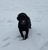 processed/2af075f8-907a-4293-ac31-e50a6f7265b2/listing/d016ad24-a0c5-4874-b3ed-8f7680be31eb/b4cdac32-6d6a-44b3-b7ae-53d4b8136f0a