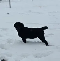 processed/2af075f8-907a-4293-ac31-e50a6f7265b2/listing/d016ad24-a0c5-4874-b3ed-8f7680be31eb/f92dc713-057b-43ae-8116-69a25eed9371