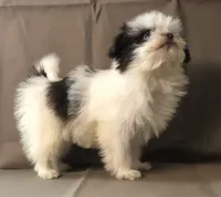 processed/2af72e33-224c-4b9a-9f72-c699d0b43352/listing/0ba316c9-3b8e-40de-88e7-0ffac37ad4e3/4211fac5-3992-4e3e-ac94-9fa36738e58c