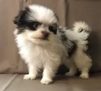 processed/2af72e33-224c-4b9a-9f72-c699d0b43352/listing/0ba316c9-3b8e-40de-88e7-0ffac37ad4e3/5b2bea4a-f89f-4942-9963-1d36d8df79eb