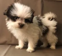 processed/2af72e33-224c-4b9a-9f72-c699d0b43352/listing/0ba316c9-3b8e-40de-88e7-0ffac37ad4e3/99309eb5-a475-4576-b59d-e08333cb21a2